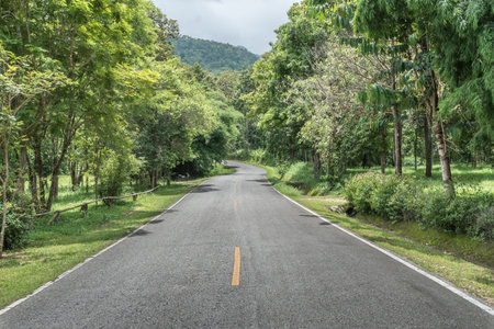 Asphalt country road with green trees