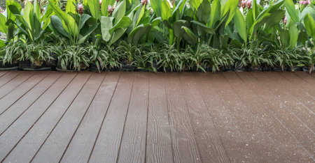 Brown wooden floor with green leaves plantsの写真素材