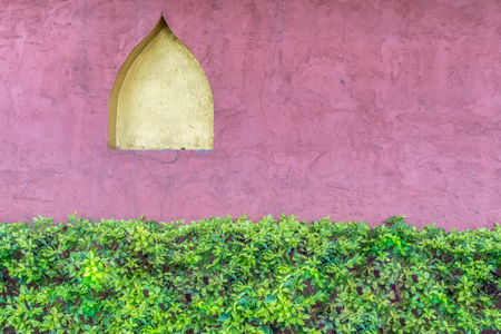 Purple concrete wall with green plantsの写真素材