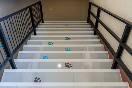 Concrete staircase with animals footprint stickerの写真素材