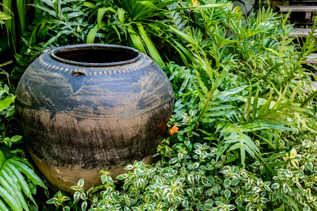 Old clay jar with green plantsの写真素材