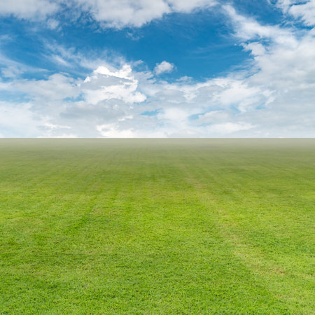 Green grass field with white cloud and blue sky background