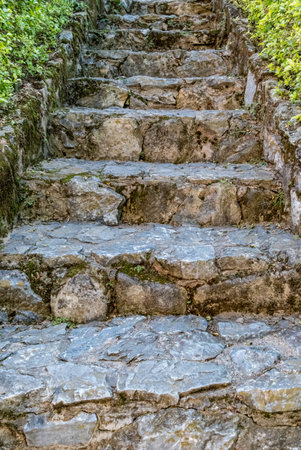 Aged stone concrete staircase with green plants