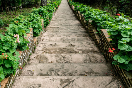 Aged concrete staircase with green plants