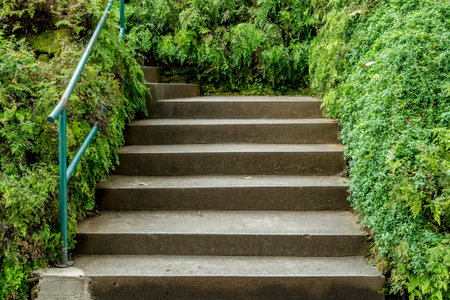 Aged concrete staircase with green plants
