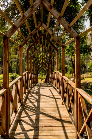 Wooden Foot bridge in the parkの写真素材