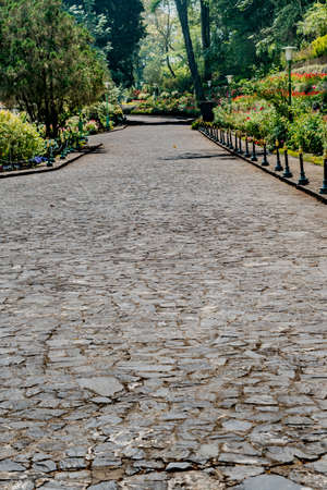 Gray stone pathway in the parkの写真素材