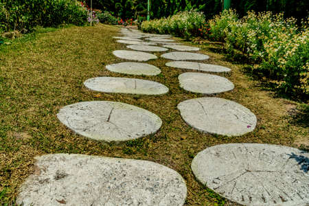 Concrete pathway with flowers and trees in the parkの写真素材