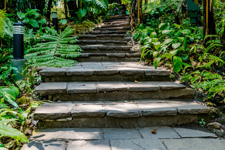 Aged stone concrete staircase with colorful flowers and green plantsの写真素材