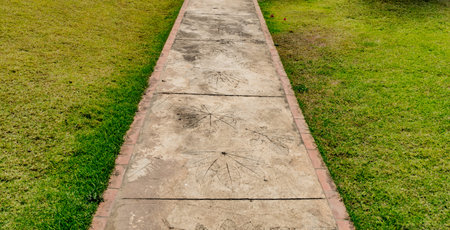 Concrete pathway with green grass in the parkの写真素材