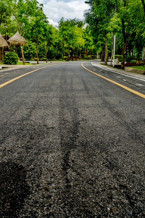 Asphalt road in the parkの写真素材