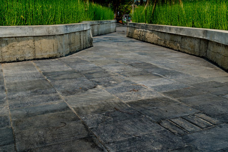 Gray concrete pathway with green plantsの写真素材