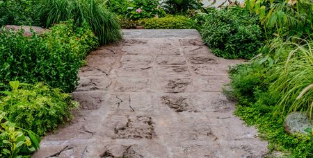 Concrete pathway in the parkの写真素材