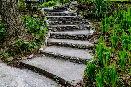 Aged stone concrete staircase with green plants
