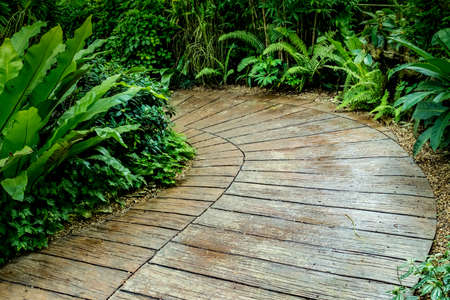 Concrete pathway with green plants in the parkの写真素材