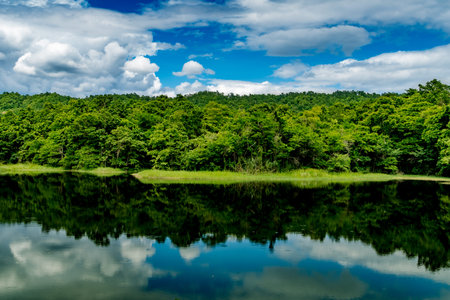Tropical green forest with green lake and blue sky backgroundの写真素材