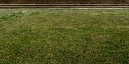 Image of Green grass with concrete stair in the parkの写真素材