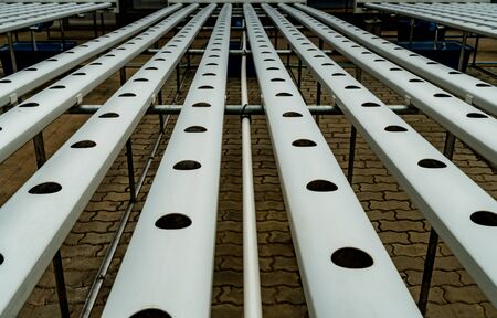 Empty White plastic pipe of hydrophonic farmの写真素材