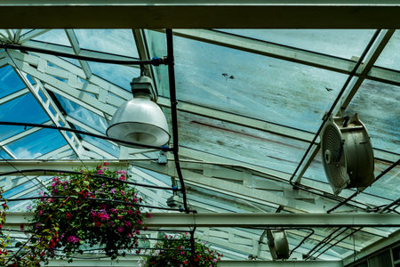 Structure of green house roof with electric lamp and fanの写真素材