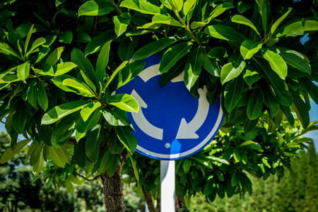 Roundabout crossroad traffic sign with green leaves