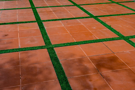 Perspective of Old brown ceramic tile floor with green grass lineの写真素材