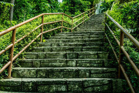 Old concrete staircase with Iron railing and green plantsの写真素材