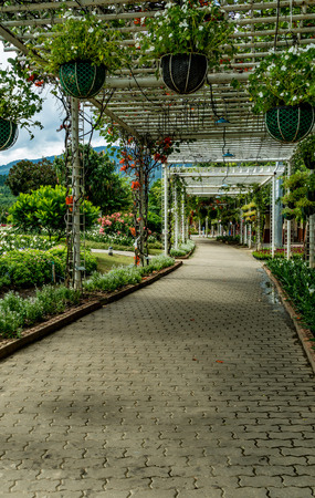 Concrete pathway in parkの写真素材
