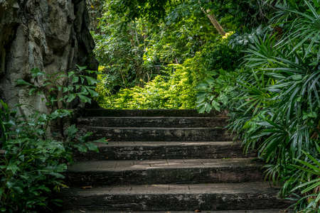 Old concrete staircase with green plantsの写真素材