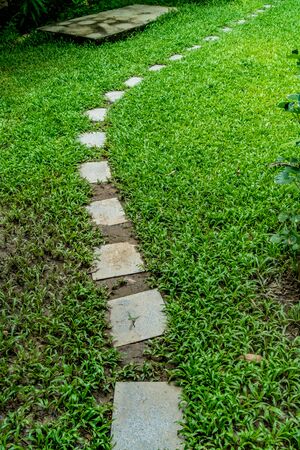 Concrete block pathway in the parkの写真素材