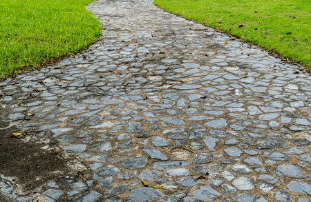 Stone Concrete pathway with green grass in the park