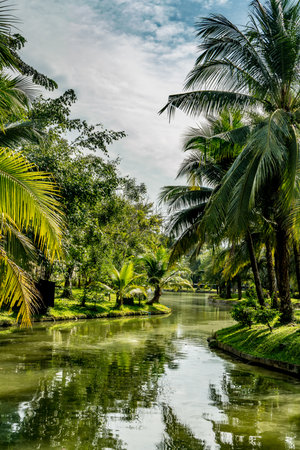 Green palm tree with green water in the park