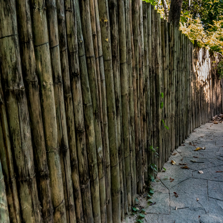 Image of brown Bamboo fence wallの写真素材