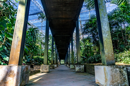 Concrete pathway and metal structure with green trees in the parkの写真素材