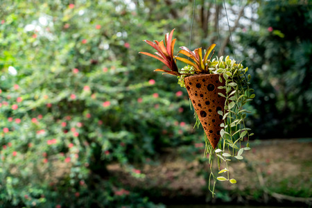 Hanging clay flower pot on green blurred backgroundの写真素材