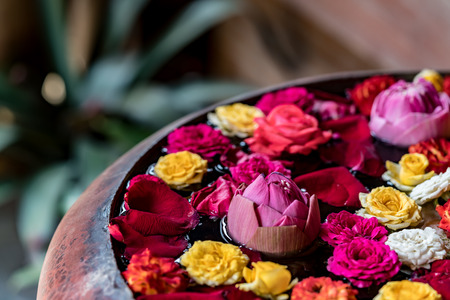 Colorful flowers floating on the waterの写真素材