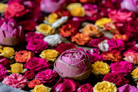 Colorful flowers floating on the water