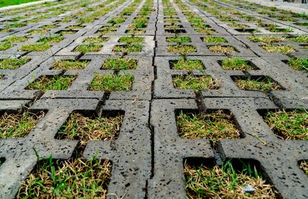 Perspective of concrete block floor with green grassの写真素材