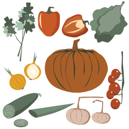 Set of various vegetable on whiteのイラスト素材