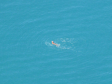 Solo Swimmerの写真素材