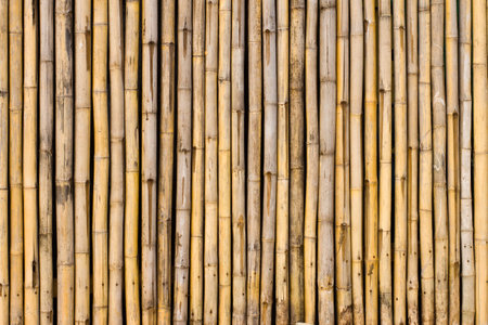 Bamboo wallの写真素材