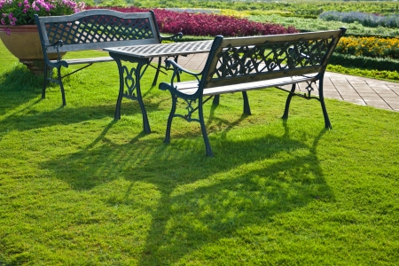Bench in the tropical garden, in sunny dayの写真素材