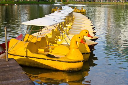 pedal boat for tourist in the parkの写真素材