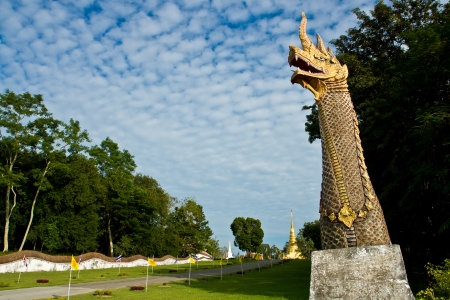 naga, combination between snake and gragonの写真素材
