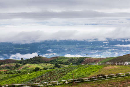 Cabbage farm, Leoi province, Northeast of Thailandの写真素材