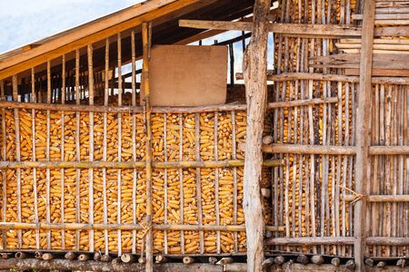Close up corn barn , Northern of Thailandの写真素材