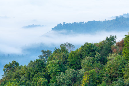 Mountain in the mist, Northern of Thailand