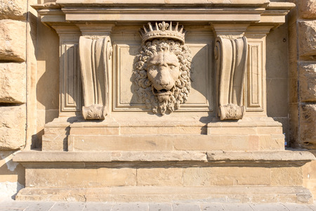 Close up lion stucco at Palazzo Pitti, The  old palace of Medici family at Florence, Italyの写真素材