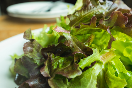 Green salad on the wooden tableの写真素材