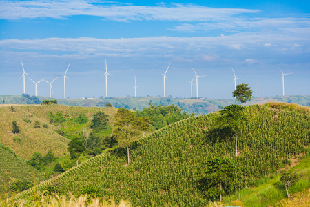 High hill with a lot of electricity polls and windturbine farm, Pitsanulook, Northern of Thailandの写真素材
