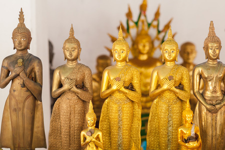 Row of golden buddha statue, people make merit with their coins on statuesの写真素材